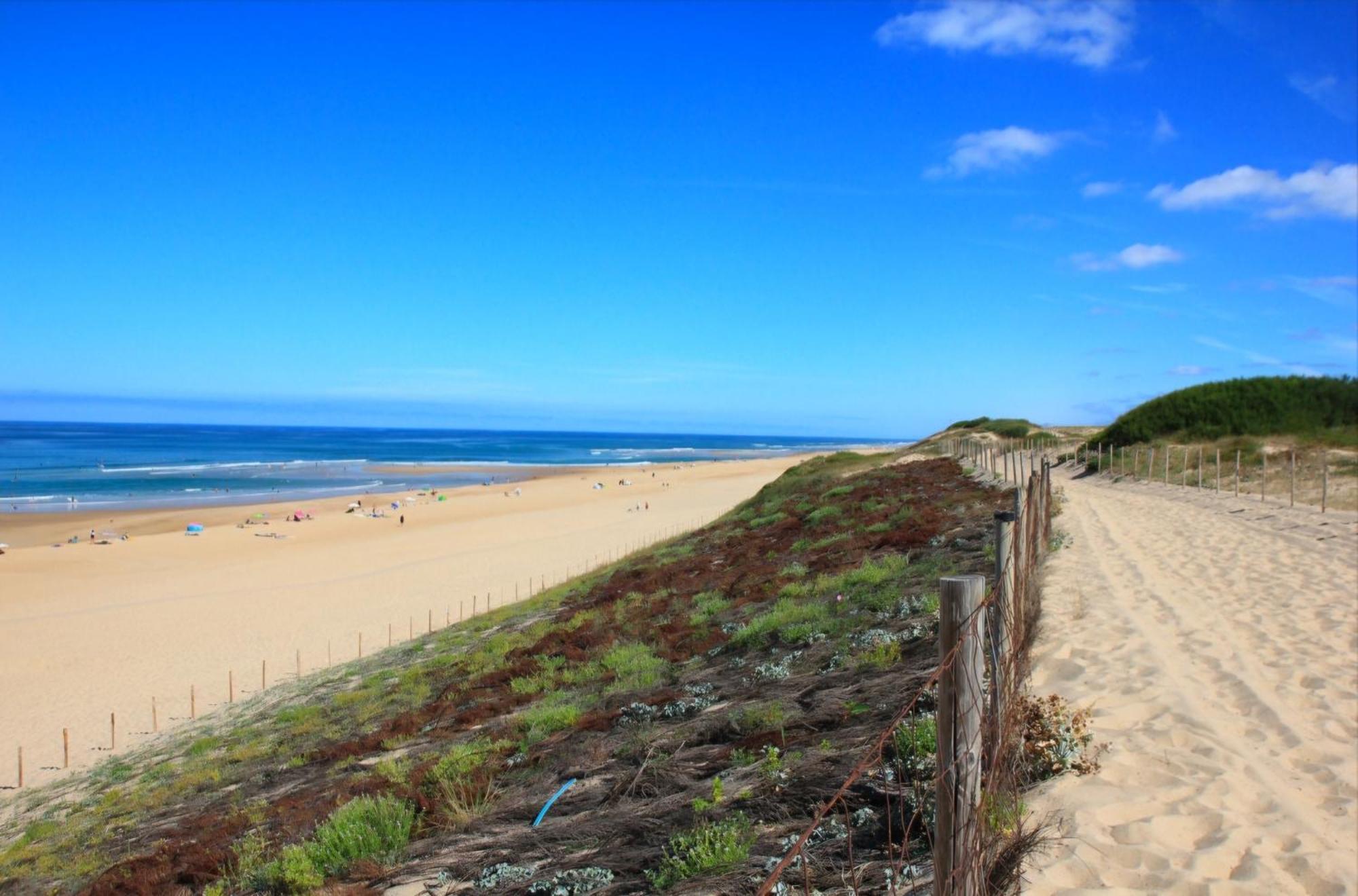 Appartement Avec Terrasse/Bord De Mer/Ideal Surf Seignosse ภายนอก รูปภาพ